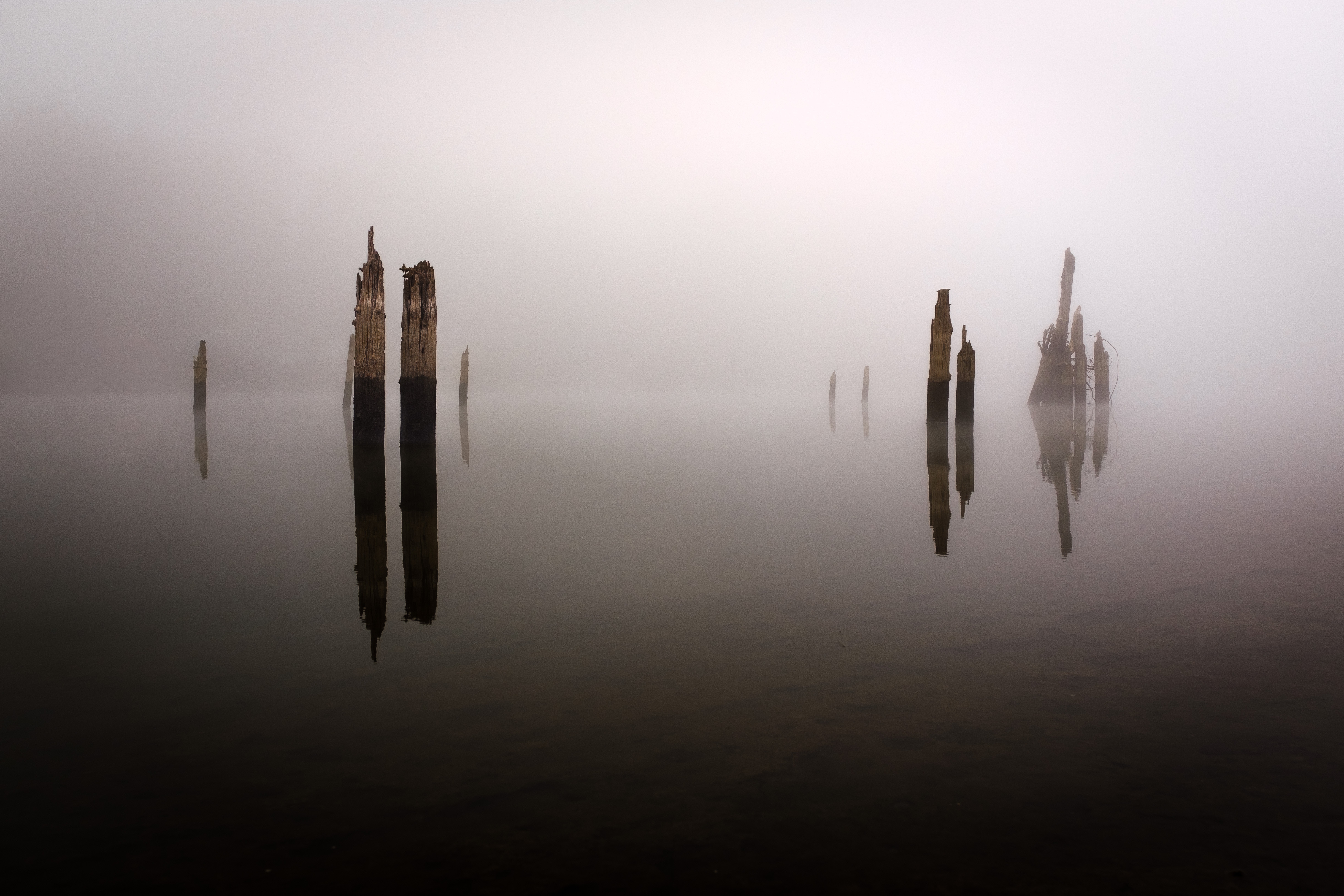 356E8458-4149-4C5D-A3A4-20469CE1D0EE