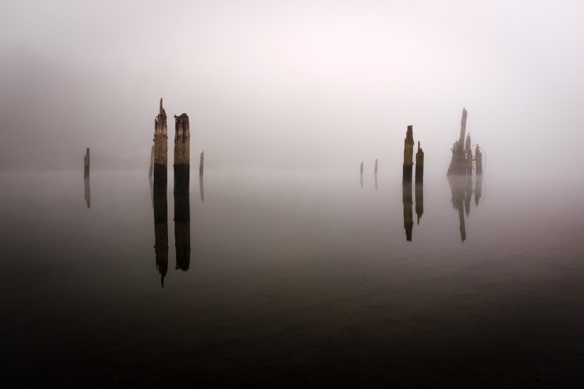 356E8458-4149-4C5D-A3A4-20469CE1D0EE